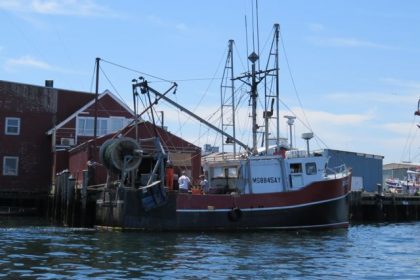 "Razzo" (boat name) offloading at Ocean Crest Seafoods, Gloucester