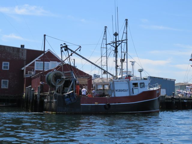 "Razzo" (boat name) offloading at Ocean Crest Seafoods, Gloucester