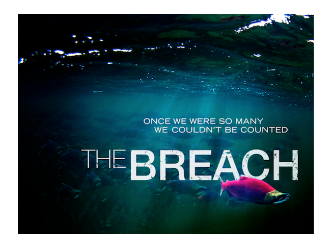 The Breach