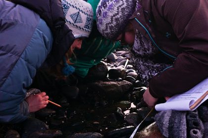 students look for juvenile lobsters Credit: Alan Spadafora