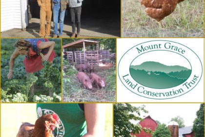 Pettengill family, Wingate Farm chickens and landscape, Mt Grace logo