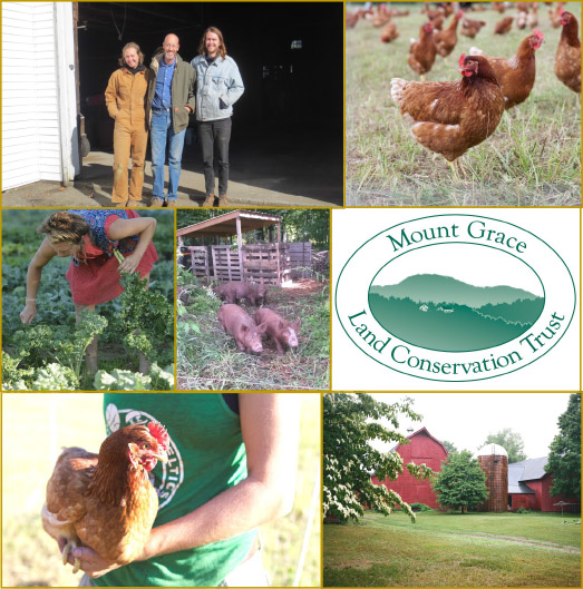 Pettengill family, Wingate Farm chickens and landscape, Mt Grace logo