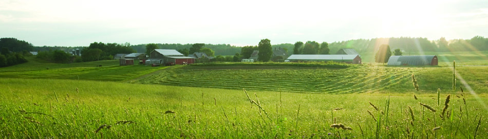 Maine Farmland Trust conference promotion photo