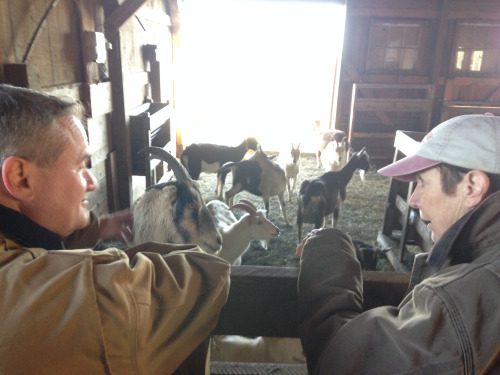 Shirley shows Jim the female goat barn