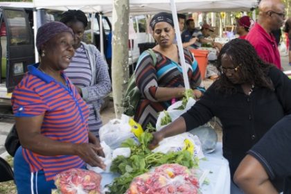 AARI farmers market