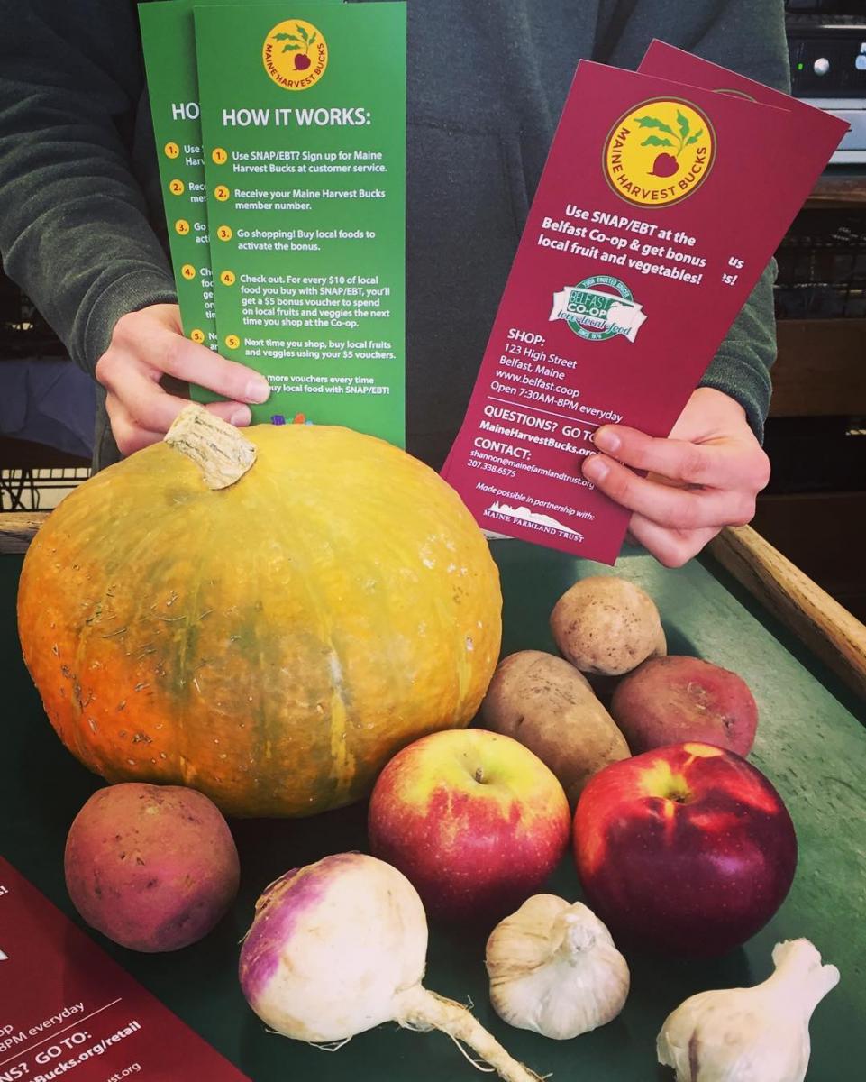 Maine Harvest Bucks pamphlets and produce at Belfast Coop