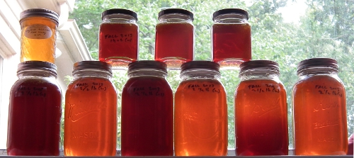 jars of honey, different colors by Kaat Vander Straeten