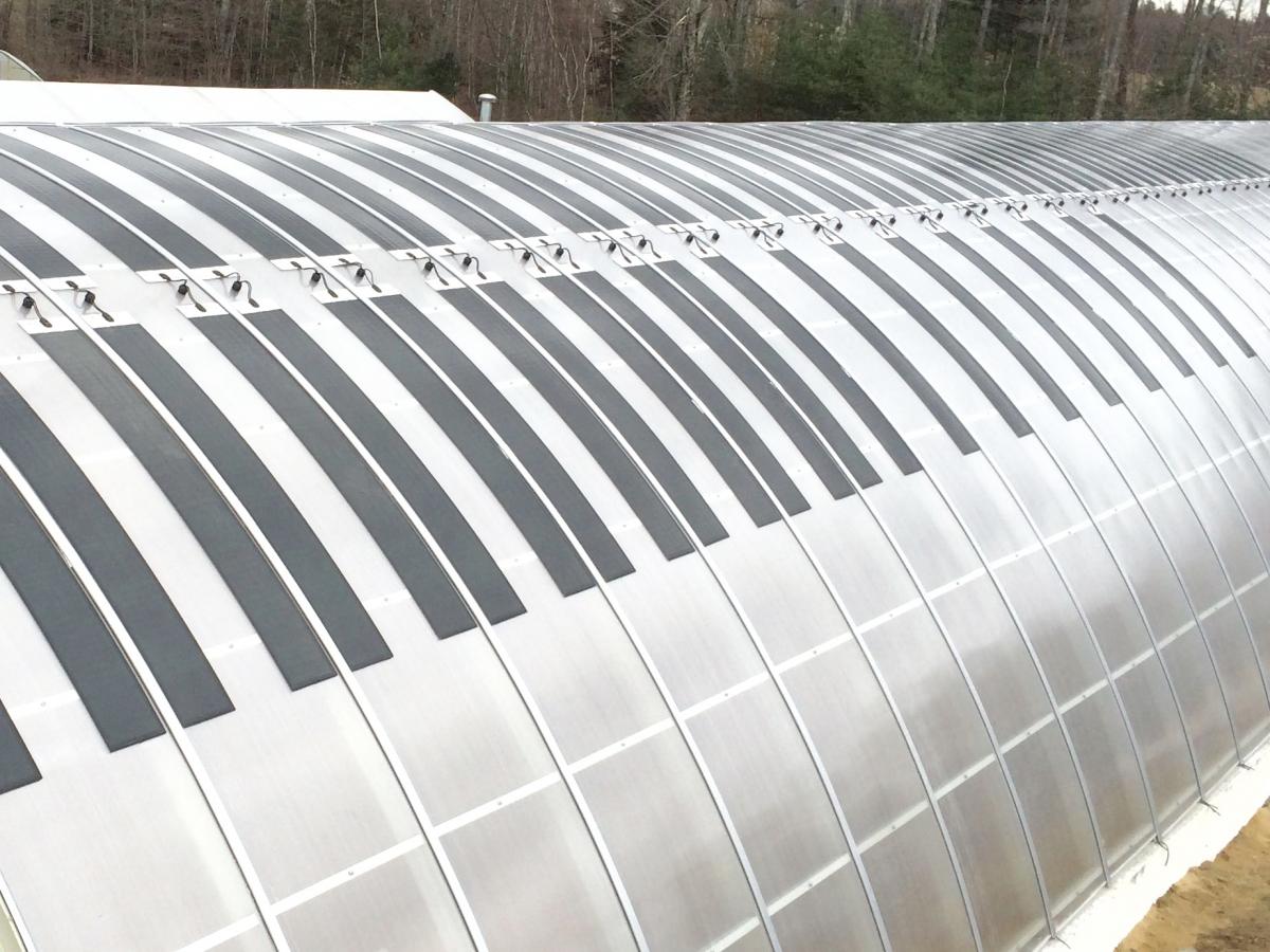 Photovoltaic panels on Little River Flowr Farm greenhouse