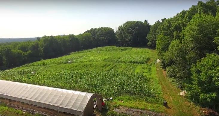 aerial view of farm field and hoophouse