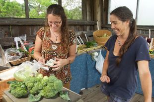 Vermonters find purchasing season products direct from farm stands to be a good value. Photo: Rooted in Vermont