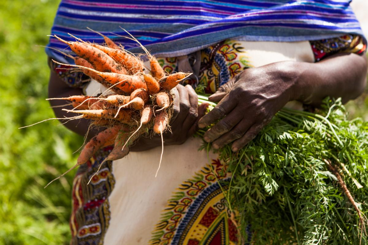 close up of carrots in Seynab Ali's hands