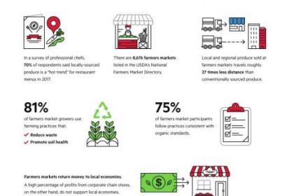 How To Make More Local Food Choices InfoGraphics