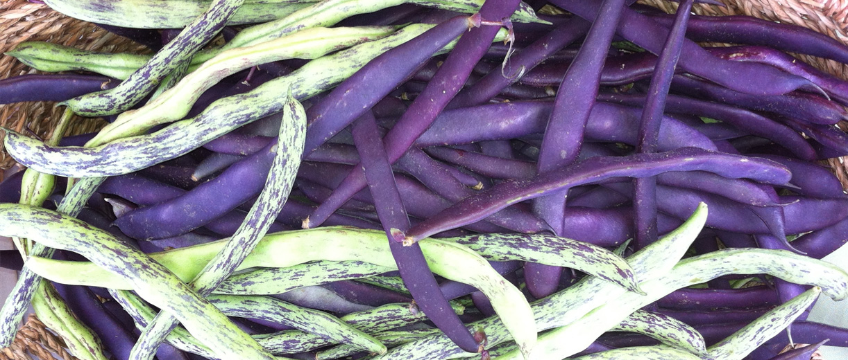 A basket of purple beans captioned “Leadership on food system communications and narrative strategy”