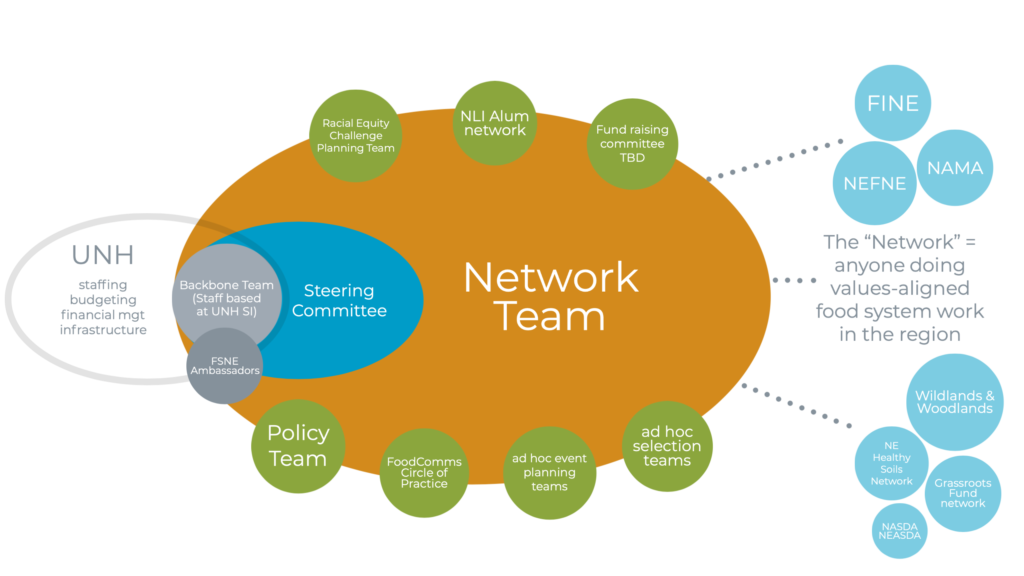 A graphic describing the organizational structure of FSNE
