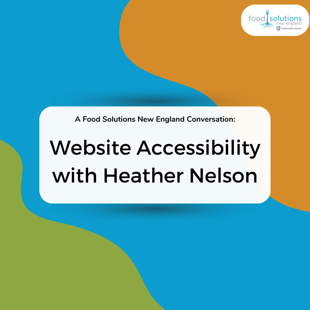 a wavy green, blue, and organge background with text that reads "A Food Solutions New England Conversation: Website Accessibliity with Heather Nelson"