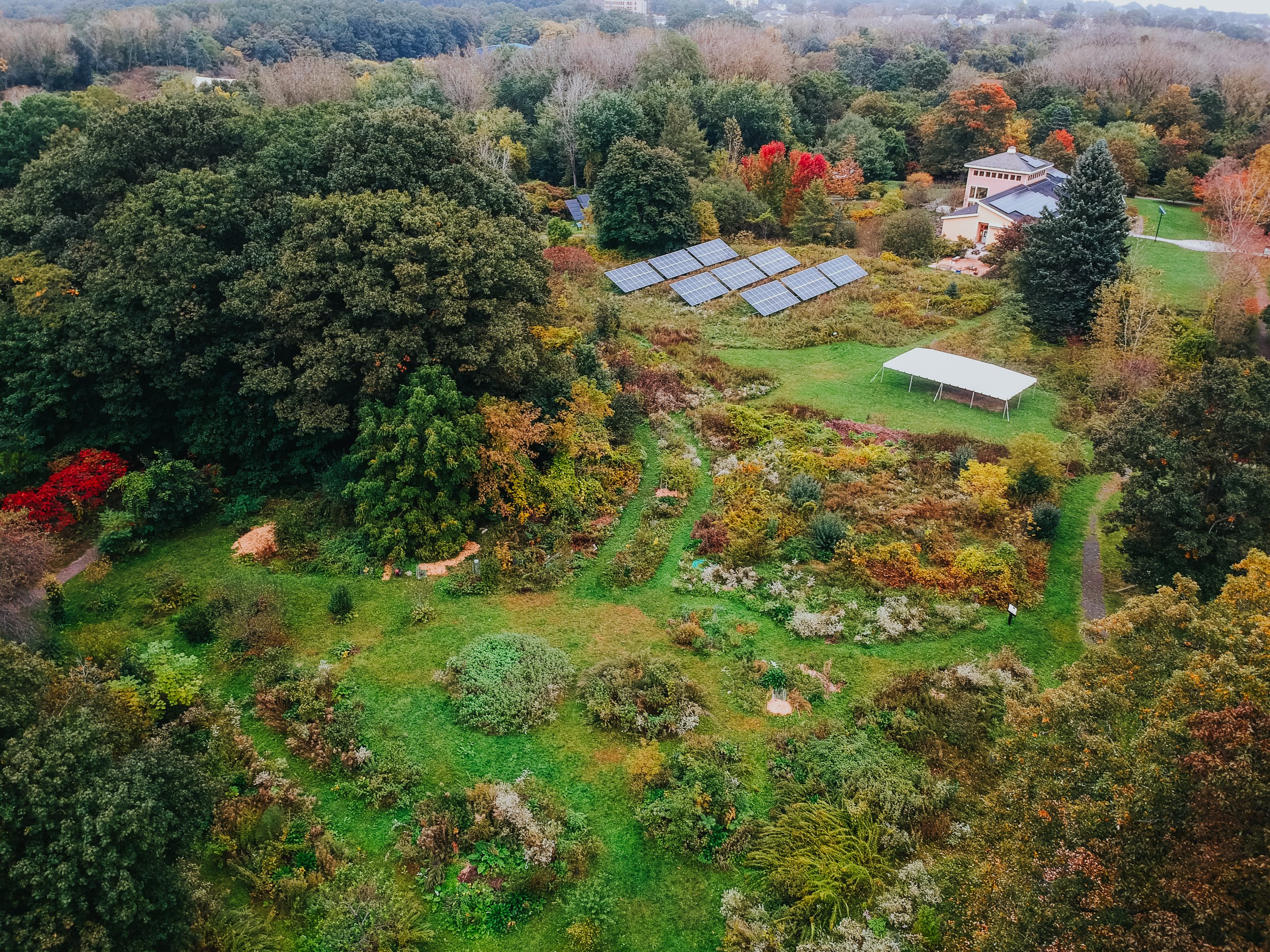 Aerial photo of a food forest