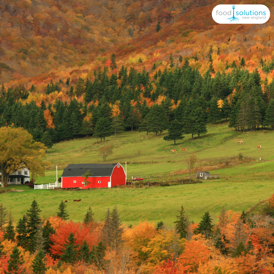Red barn on a green hill with foliage trees and cows on the hill.