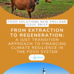 Cover of an issue brief with cows in a field up top and a lighthouse over looking the issue on the bottom. The text reads "Food Solutions New England Issue Brief. From Extraction to Regeneration: A Just Transition Approach to Financing Climate Resilience in the Food System"